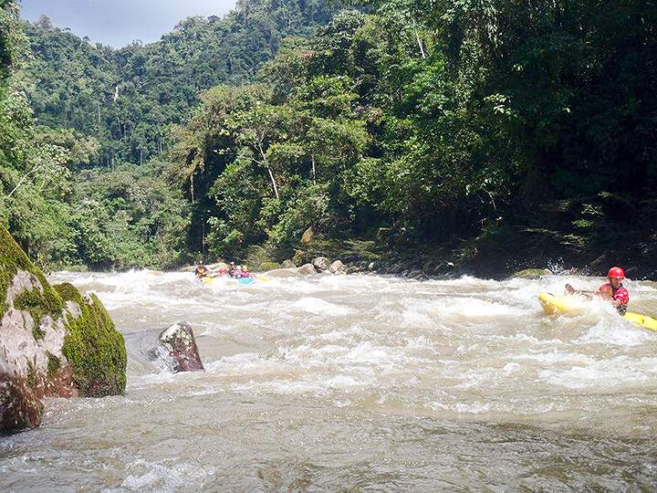 Rainforest Rapids