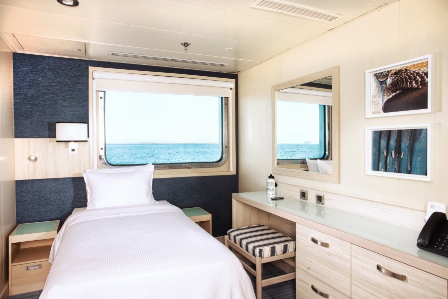 A cozy cruise ship cabin with a twin bed, a large window showing the ocean, and a desk with a striped stool. The room features light wooden furniture, white bedding, framed artwork on the wall, and a bottle of water on the desk — perfect for your Santa Cruz II Galapagos cruise.