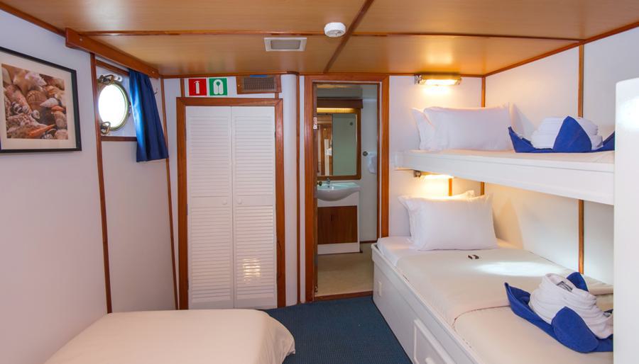 A small, neatly arranged ship cabin with wooden paneling. It has a bunk bed with white and blue bedding, a single bed, a porthole, and a closet with louvered doors. A doorway leads to an ensuite bathroom, and the lighting is warm. A framed picture decorates the wall—perfect for your Beluga Galapagos cruise.