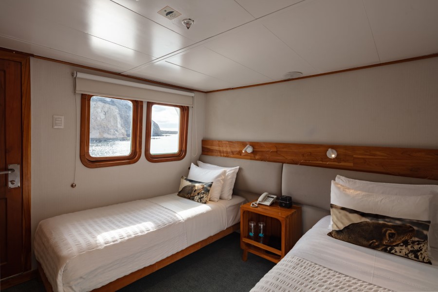 A cozy cabin on a Coral Galapagos cruise boat with two single beds neatly made with white linens and brown decorative pillows. The room features two windows providing a scenic view of the ocean and a rocky coastline. There's a small wooden nightstand between the beds with a phone and glasses.