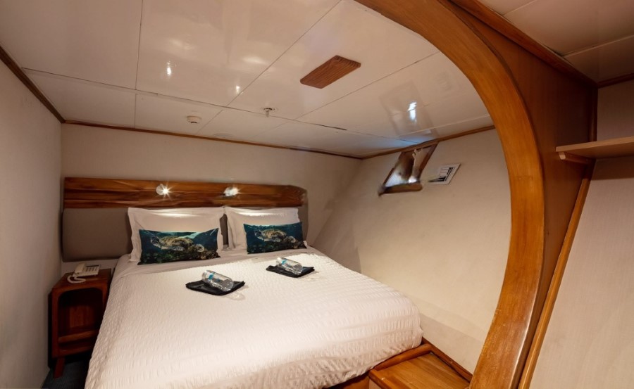 A cozy bedroom with wooden accents, featuring a double bed covered in white linens and adorned with two decorative ocean-themed pillows. There are two neatly placed towels on the bed, and a bedside table with a telephone on the left side. The room has soft, warm lighting, perfect for dreaming of your next Galapagos cruise.