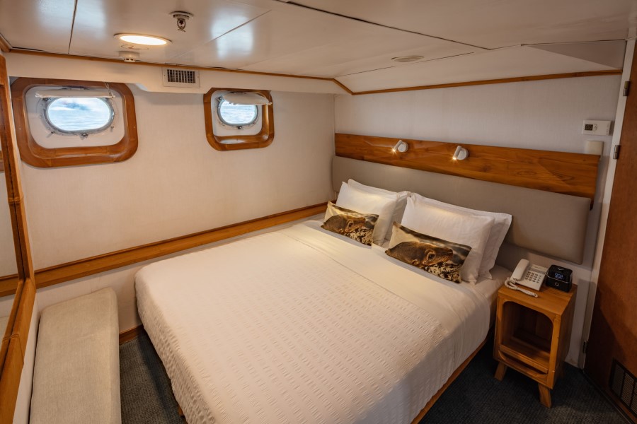 A cozy cabin on a Coral Galapagos cruise boat featuring a queen-sized bed with white bedding and patterned throw pillows. The room has wooden accents, two small windows overlooking the sea, a bedside table with a phone, and a bench against the wall. The lighting is warm and inviting.