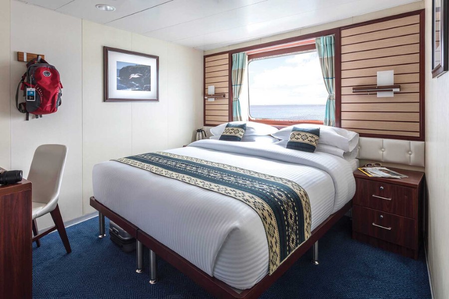 A cozy cruise ship cabin with a large bed, a window displaying an ocean view, and a wall-mounted red backpack. The bed has decorative pillows and a patterned throw. The room features wooden furniture including a bedside table, chair, and desk. Art decorates the wall.