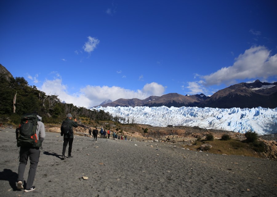 A group of trekkers walks toward the vast Perito Moreno Glacier under a bright blue sky with scattered clouds. The foreground features rocky, barren terrain, while the background shows snow-capped mountains and the expansive, icy glacier. Trees can be seen on the left side in Argentina.