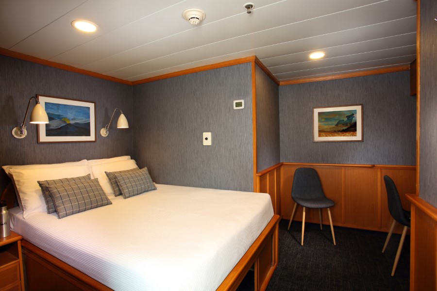 A cozy, small cabin room on the Isabela II Galapagos cruise features a neatly made double bed with white linens and two plaid pillows. The walls are adorned with framed landscape paintings. Two modern gray chairs are positioned against wood-paneled walls. Warm ambient lighting illuminates the space.