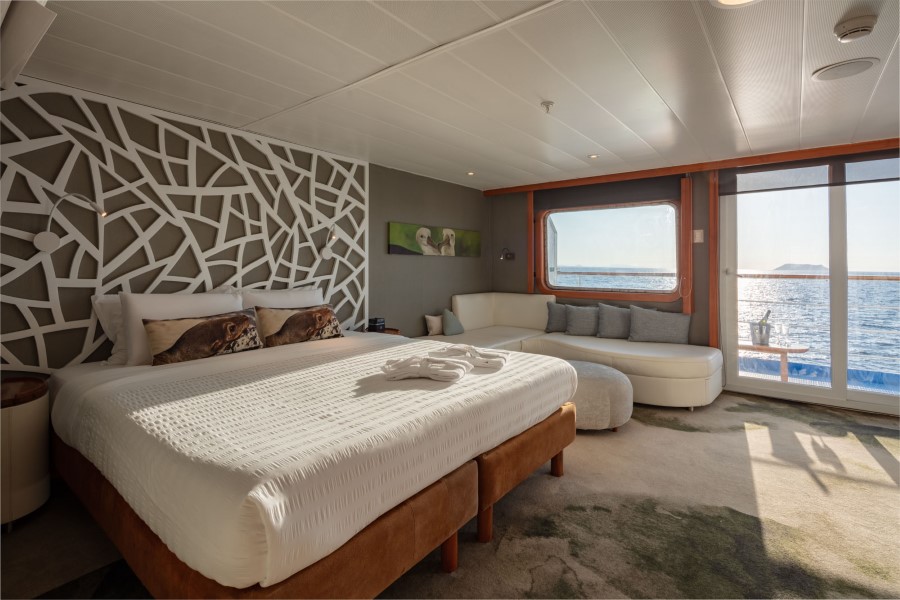 A spacious cabin with a large bed, decorative headboard, and two pillowcases featuring big cats. There is a white sofa near a large, rectangular window with an ocean view. The room is well-lit with natural light and has a modern, clean design—perfect for your Legend Galapagos cruise experience.