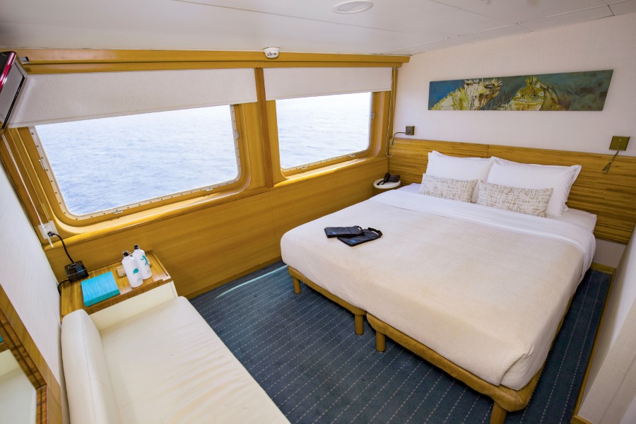 A cozy Legend Galapagos cruise ship cabin with a large bed, white linens, and two pillows. The room has large windows with ocean views, a small couch, wall art, a mounted TV, and a small table with a water bottle, hand sanitizer, and a box of tissues.