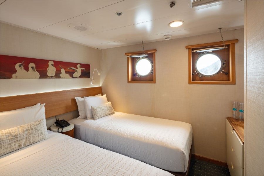 A cozy cabin on the Legend Galapagos cruise features two single beds adorned with white linens and accent pillows. Artwork of birds decorates the wall above the beds. The room includes two round porthole windows and wooden furnishings, including a bedside table with a phone and a cabinet with water bottles.