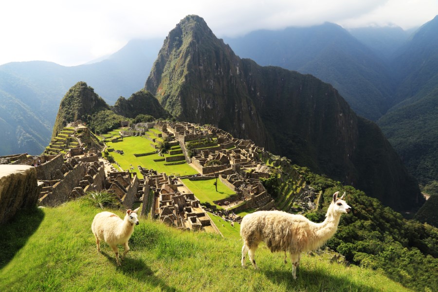 Image of Machu Picchu, an ancient Incan city situated in the Andes Mountains of Peru. The ruins include stone structures and terraces. Two llamas are grazing on the grassy foreground with Huayna Picchu mountain in the background under a partly cloudy sky.