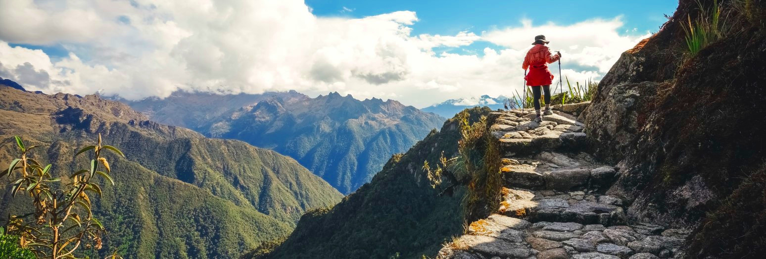 A female hiker is walking on the famous Inca trail of Peru with walking sticks. She is on the way to Machu Picchu.