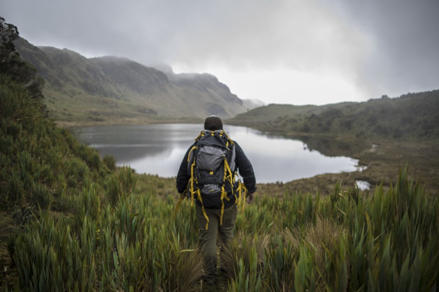 A person with a backpack walks through tall grass towards a serene lake surrounded by rolling hills under an overcast sky. The landscape appears lush and tranquil, with mist hovering over distant mountains.