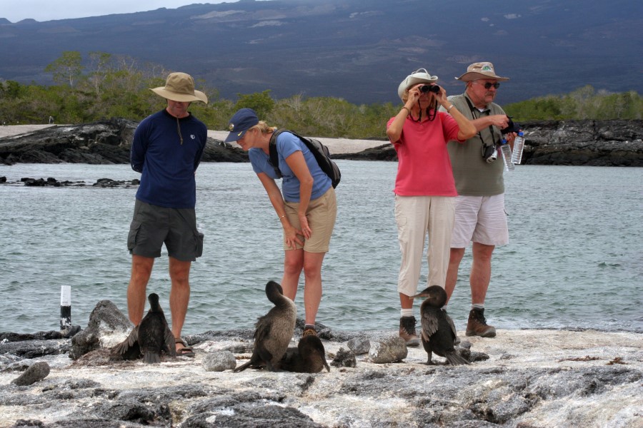 Four individuals stand on a rocky shore by the water, observing several birds nearby. They are dressed in casual outdoor attire, with hats for sun protection. One person uses binoculars while another points towards the birds. Vegetation and mountains are visible in the background.