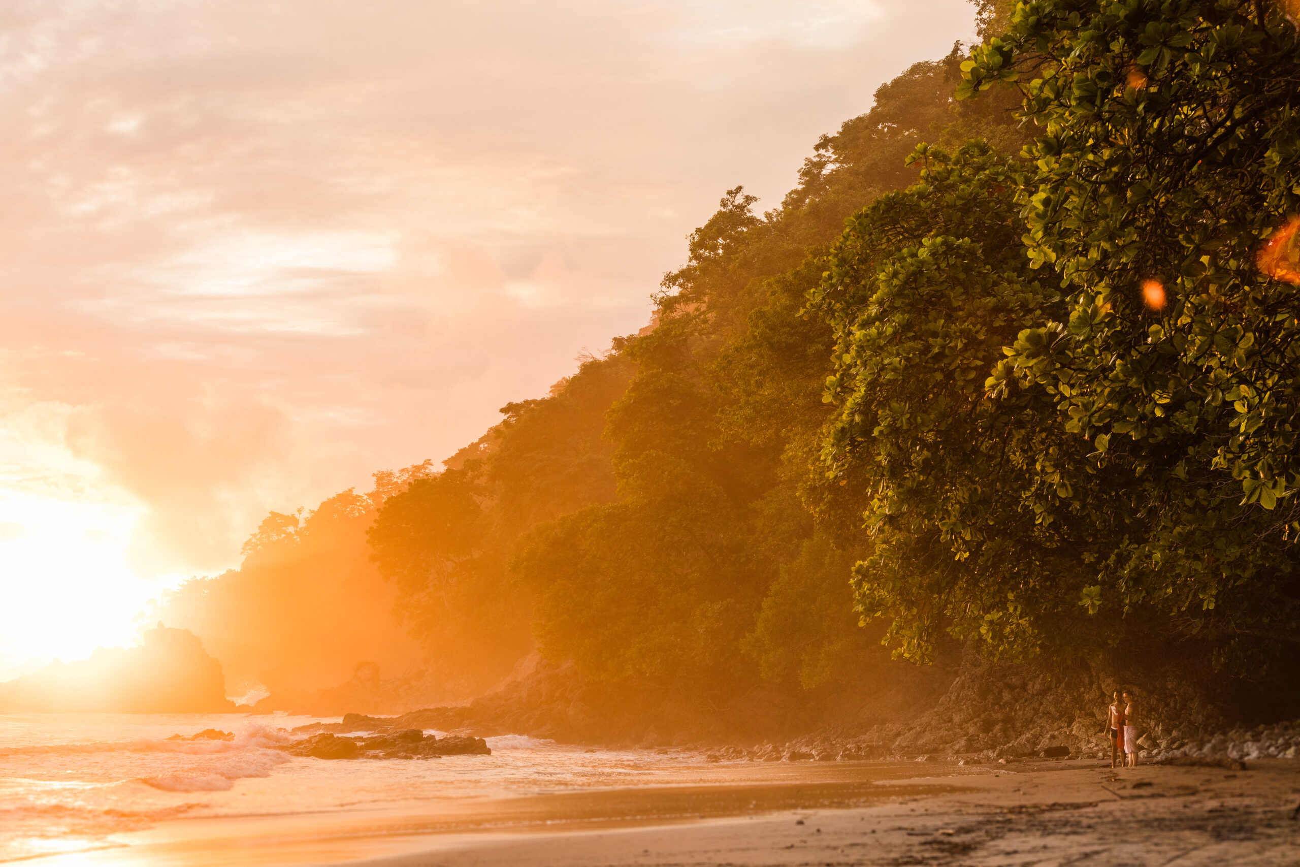 A serene beach scene at sunset. The sun is setting over the ocean, casting a warm glow over the water and distant cliffs. Lush green trees line the right side, and a person is standing on the shore, partially obscured by the foliage. Waves gently lap at the sandy beach.